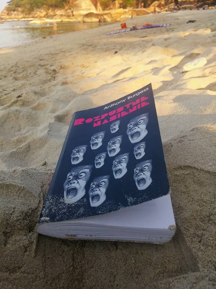 Ksiazki-na-wakacjach